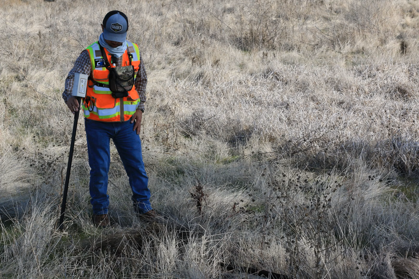 Hestia team conducting field survey